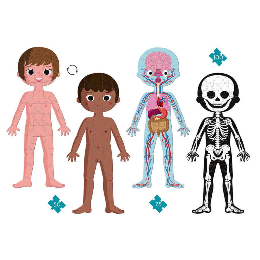 Puzzle educativo del cuerpo humano Janod - Imagen 7